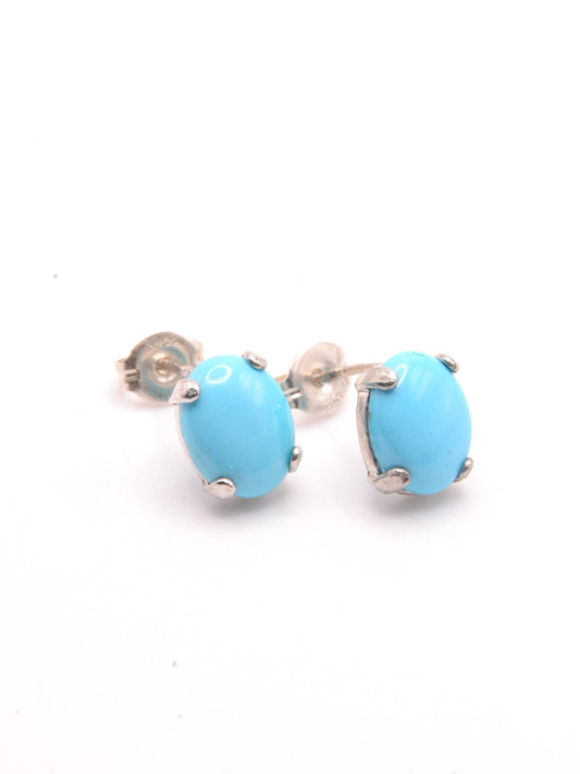 Sleeping Beauty turquoise earrings